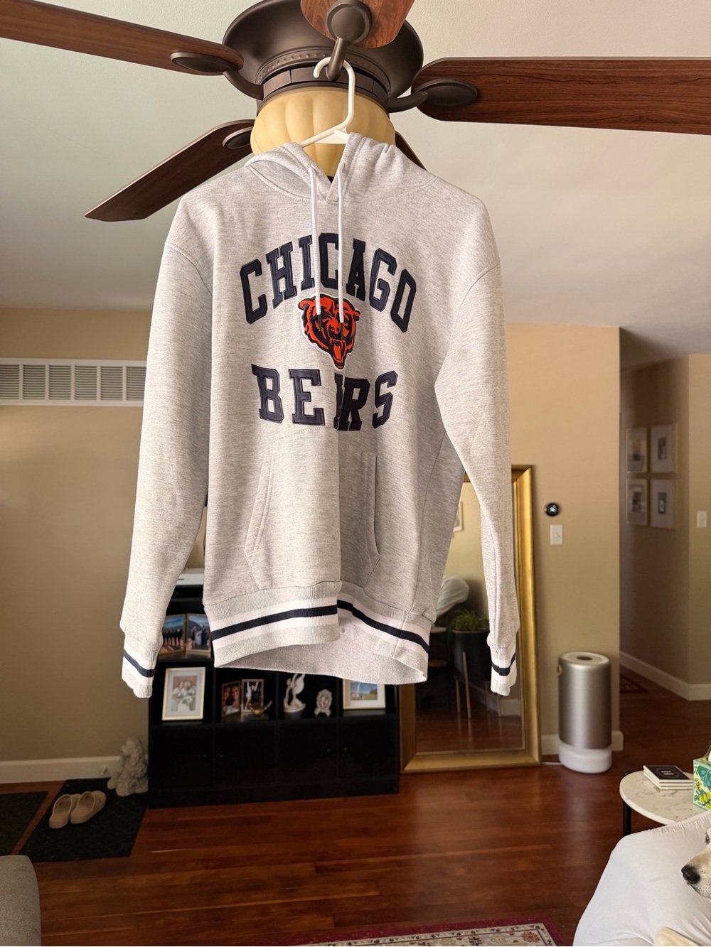NFL Bears hoodie